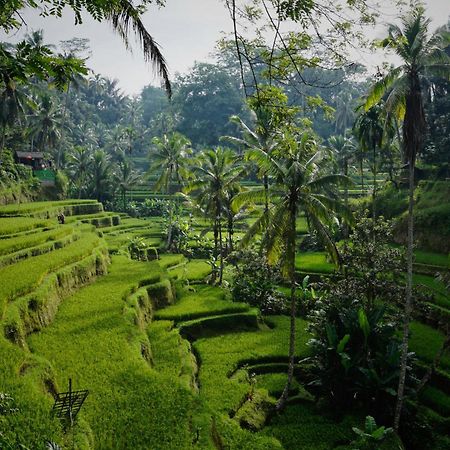 Villa Seremi Ubud Паянган Экстерьер фото